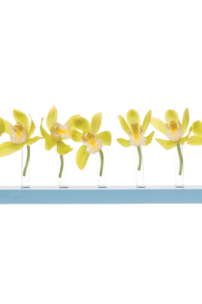 Calla Test Tube Flower Vase - Chive Ceramics Studio - Vases - Chive US