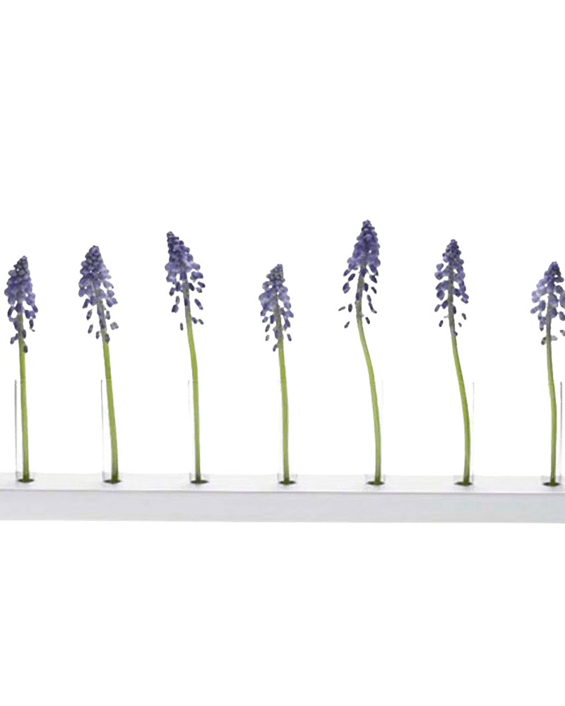 Calla Test Tube Flower Vase - Chive Ceramics Studio - Vases - Chive US