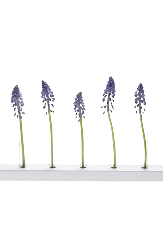 Calla Test Tube Flower Vase - Chive Ceramics Studio - Vases - Chive US