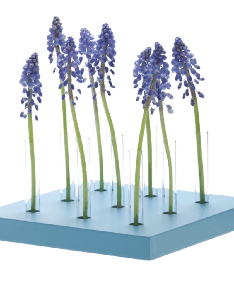 Calla Test Tube Flower Vase - Chive Ceramics Studio - Vases - Chive US