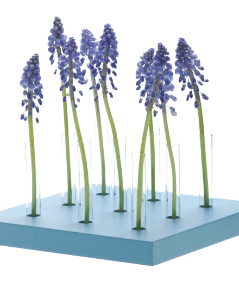 Calla Test Tube Flower Vase - Chive Ceramics Studio - Vases - Chive US