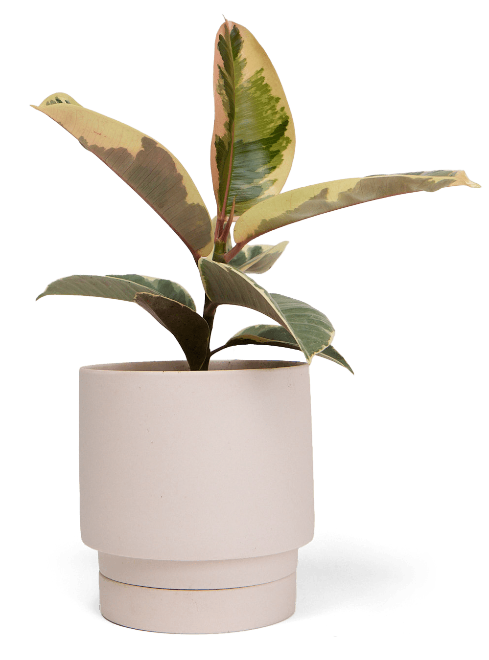 Casey Porcelain Modern Pot And Saucer Set - Chive Ceramics Studio - Pots - Chive Ceramics Studio