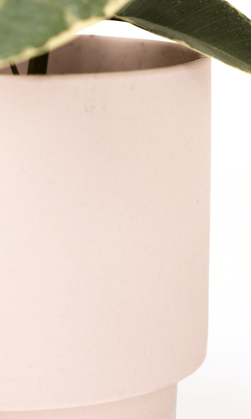 Casey Porcelain Modern Pot And Saucer Set - Chive Ceramics Studio - Pots - Chive Ceramics Studio