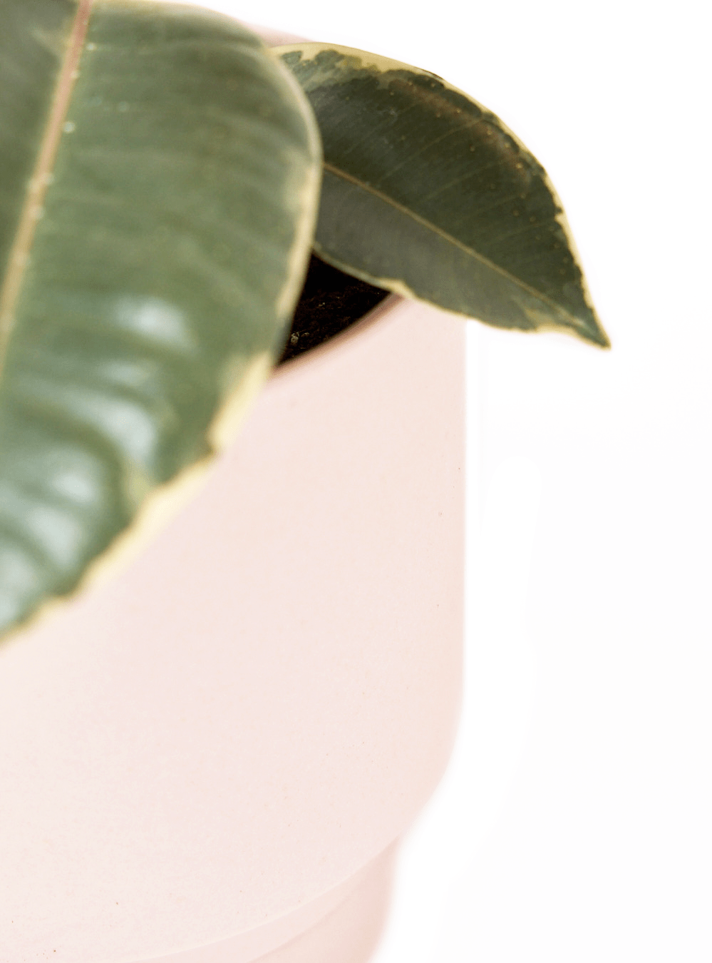 Casey Porcelain Modern Pot And Saucer Set - Chive Ceramics Studio - Pots - Chive Ceramics Studio