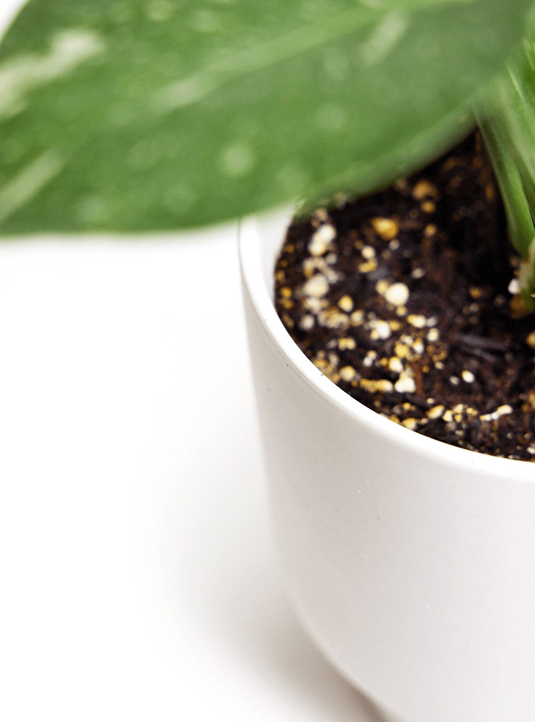 Casey Porcelain Modern Pot And Saucer Set - Chive Ceramics Studio - Pots - Chive Ceramics Studio