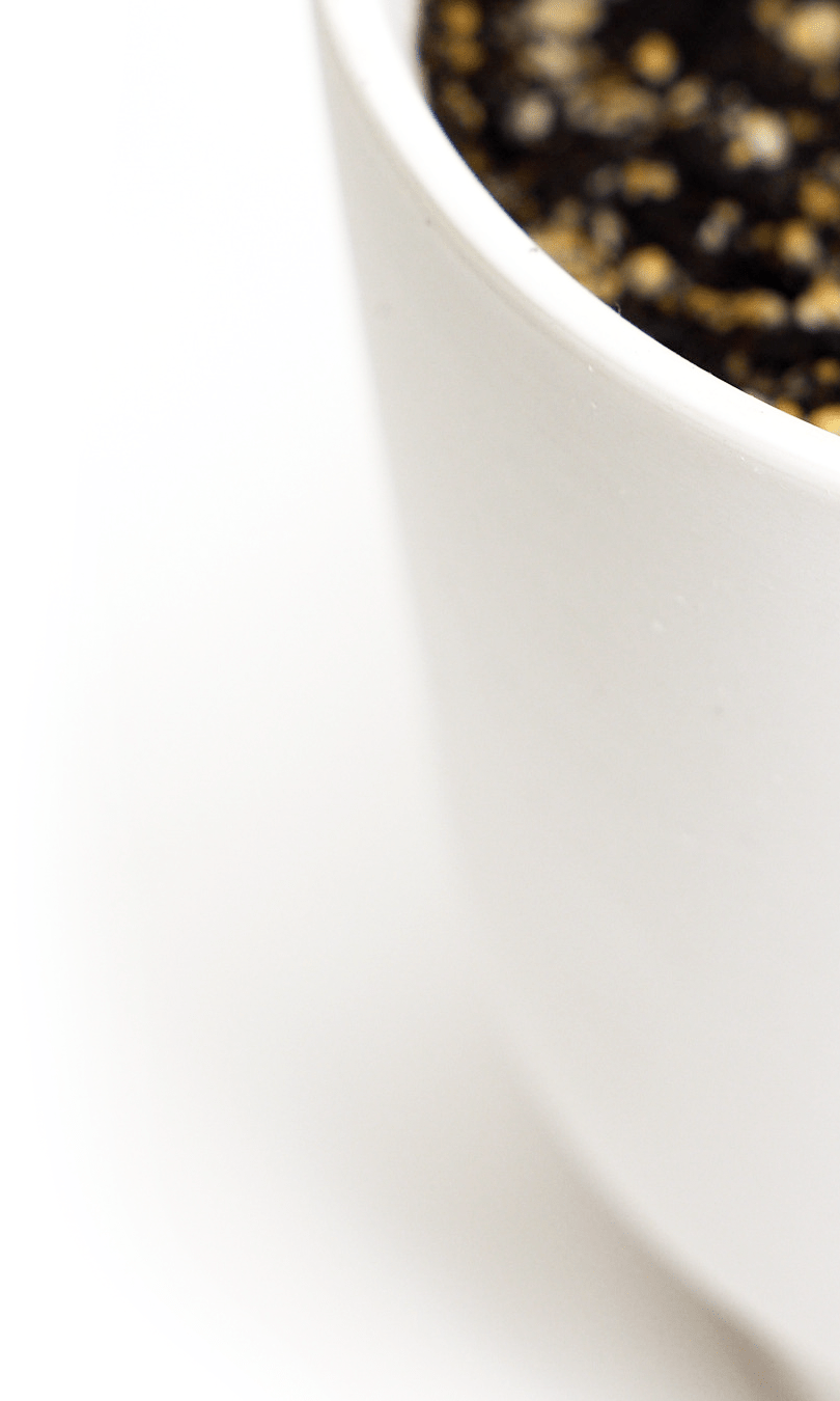 Casey Porcelain Modern Pot And Saucer Set - Chive Ceramics Studio - Pots - Chive Ceramics Studio