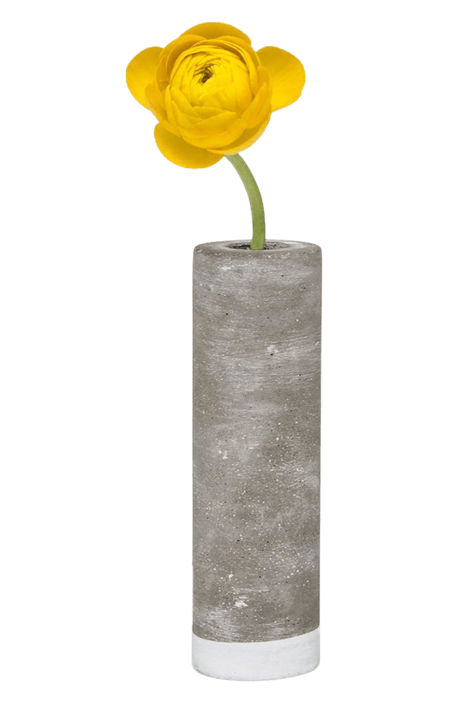 Cement Flower Vase Lined With Glass Tube - Chive Ceramics Studio - Vases - Chive US