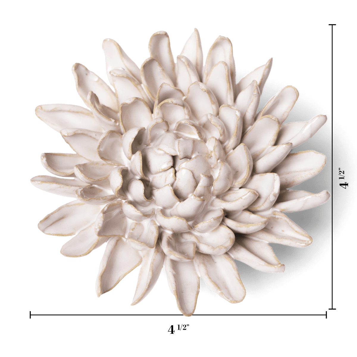 Ivory Chrysanthemum ceramic wall flower — Coastal Collection — handmade by Chive Studio Toronto