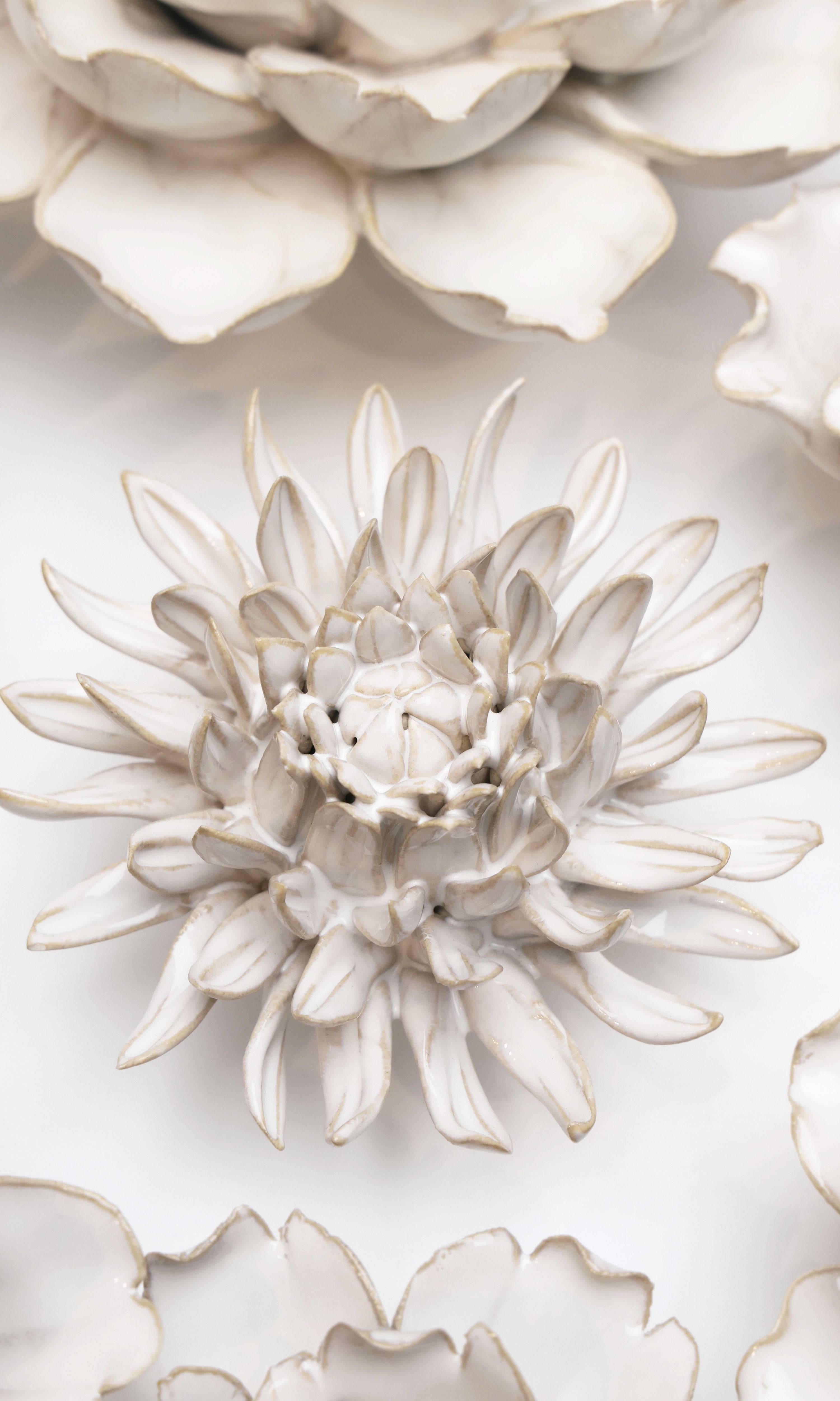 Ivory Spider Mum ceramic wall flower styled on wall — Coastal Collection — Chive Studio Toronto