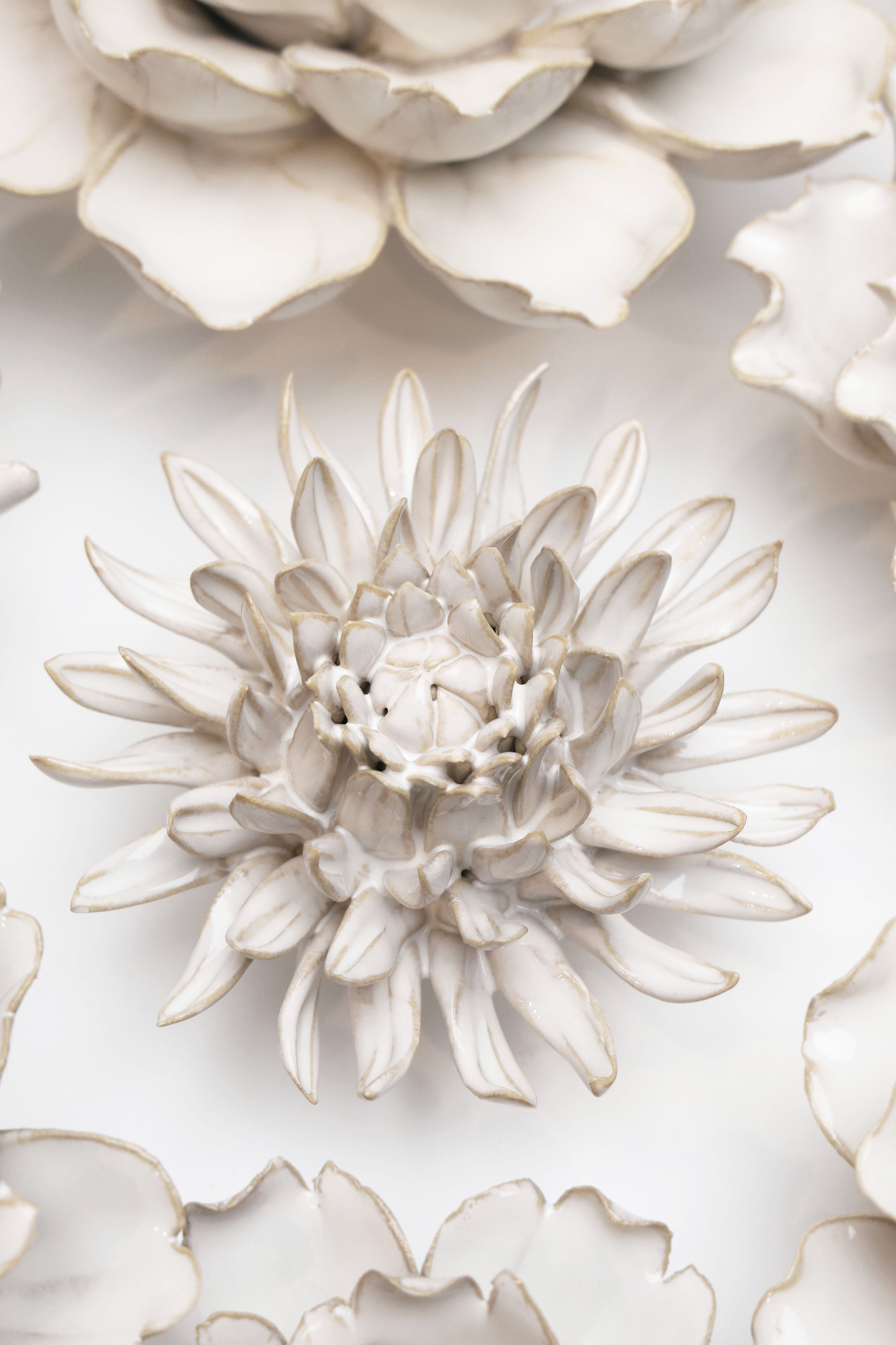 Ivory Spider Mum ceramic wall flower styled on wall — Coastal Collection — Chive Studio Toronto