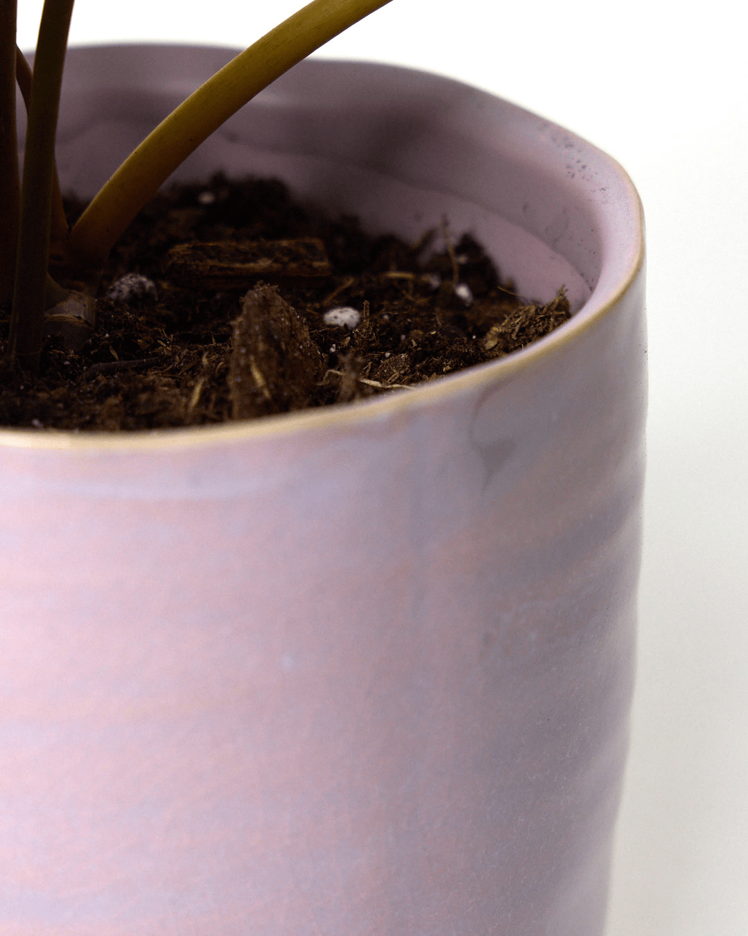 Channa Ceramic Planter Pot - Chive Ceramics Studio - Pots - Chive Ceramics Studio