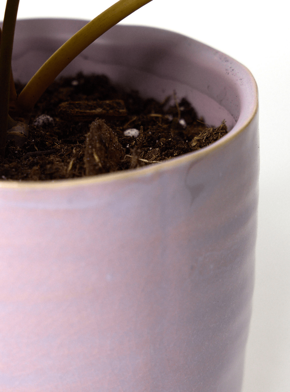 Channa Ceramic Planter Pot - Chive Ceramics Studio - Pots - Chive Ceramics Studio