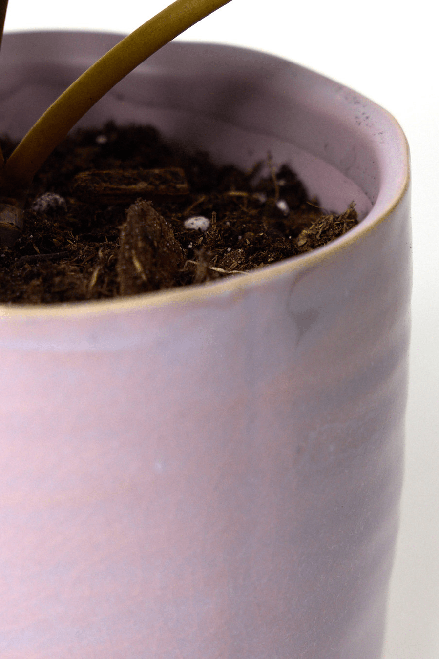 Channa Ceramic Planter Pot - Chive Ceramics Studio - Pots - Chive Ceramics Studio