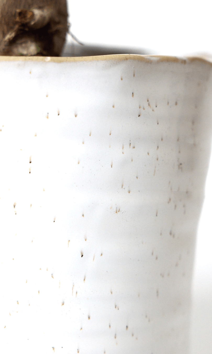 Channa Ceramic Planter Pot - Chive Ceramics Studio - Pots - Chive Ceramics Studio