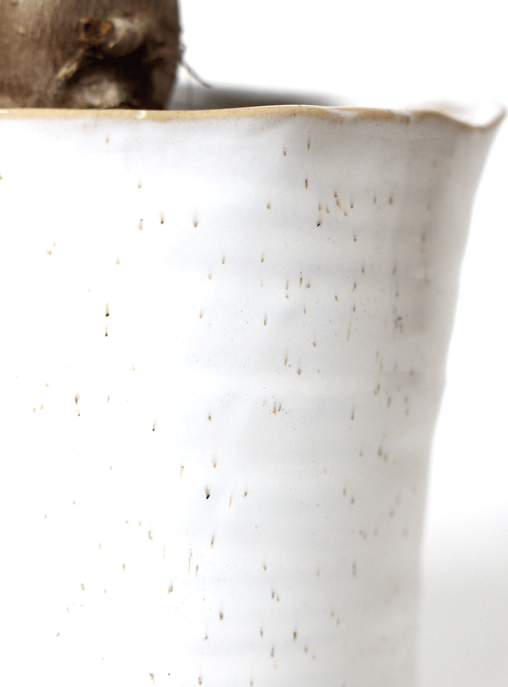 Channa Ceramic Planter Pot - Chive Ceramics Studio - Pots - Chive Ceramics Studio