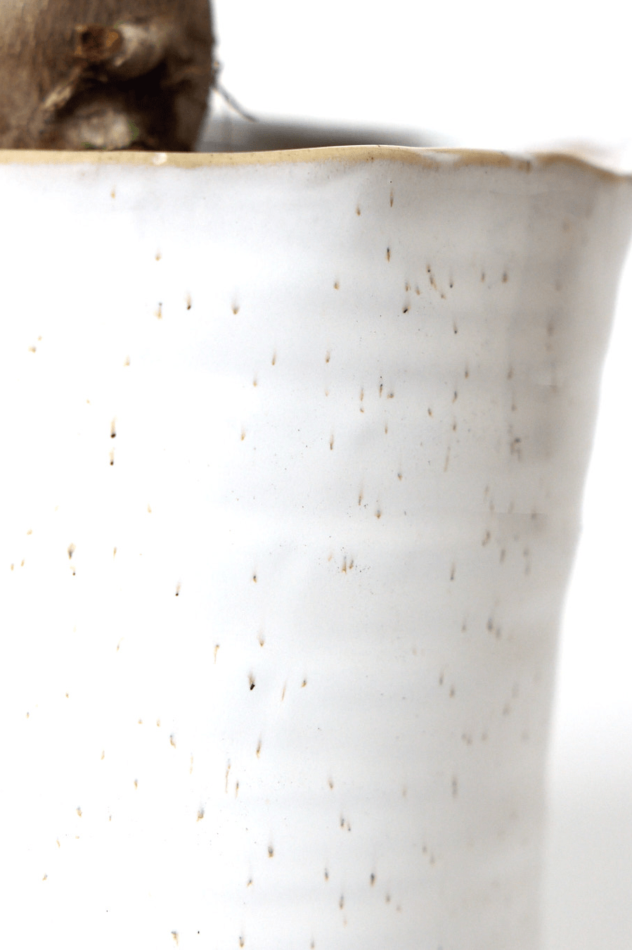 Channa Ceramic Planter Pot - Chive Ceramics Studio - Pots - Chive Ceramics Studio