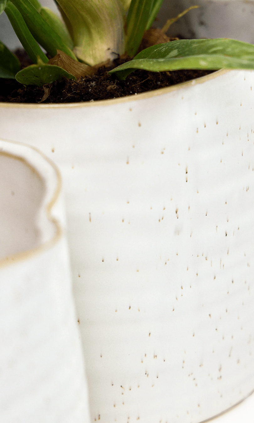 Channa Ceramic Planter Pot - Chive Ceramics Studio - Pots - Chive Ceramics Studio