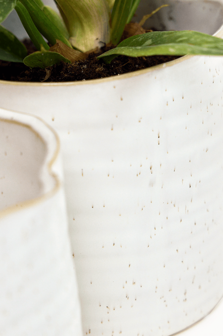 Channa Ceramic Planter Pot - Chive Ceramics Studio - Pots - Chive Ceramics Studio