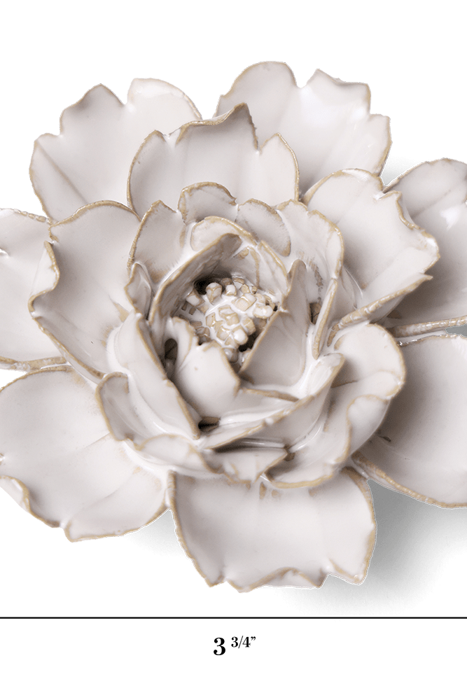 Ivory Rose ceramic wall flower — Coastal collection — designed in Toronto by Chive Studio