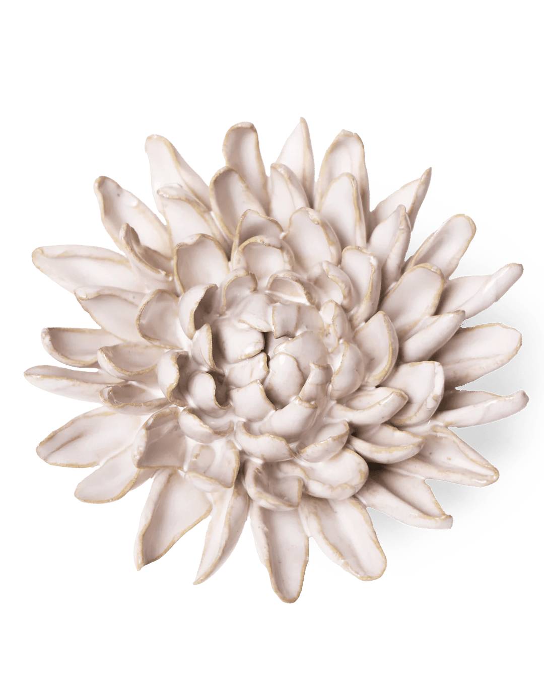 CO02 Ivory Chrysanthemum - Chive Ceramics Studio - Ceramic Flowers - Chive Ceramics Studio