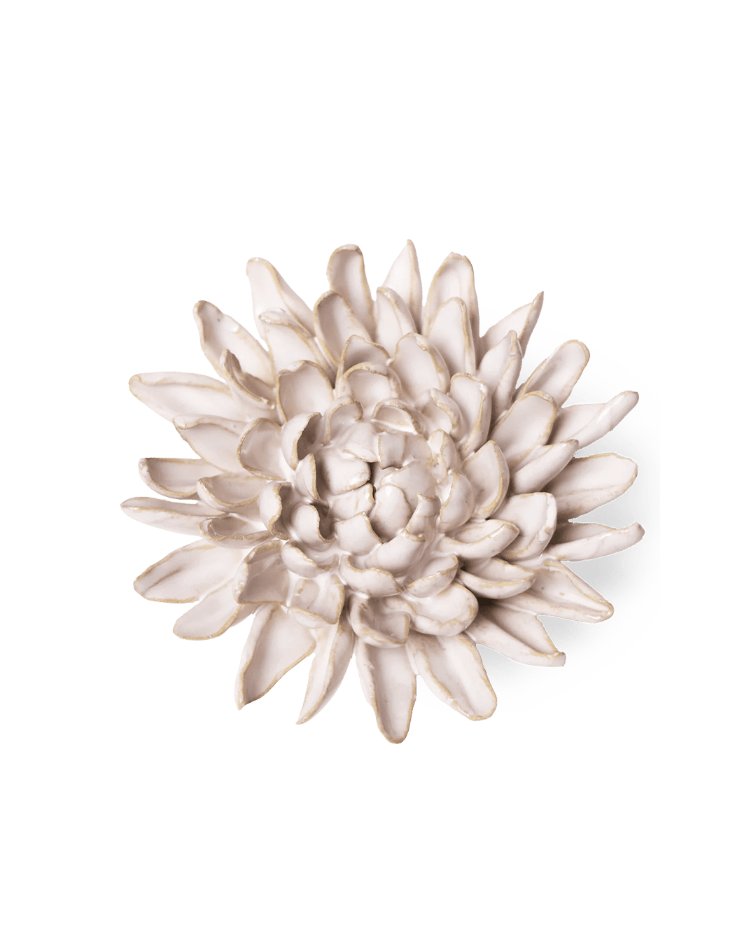 Ivory Chrysanthemum - Chive Ceramics Studio - Ceramic Flowers - Chive Ceramics Studio