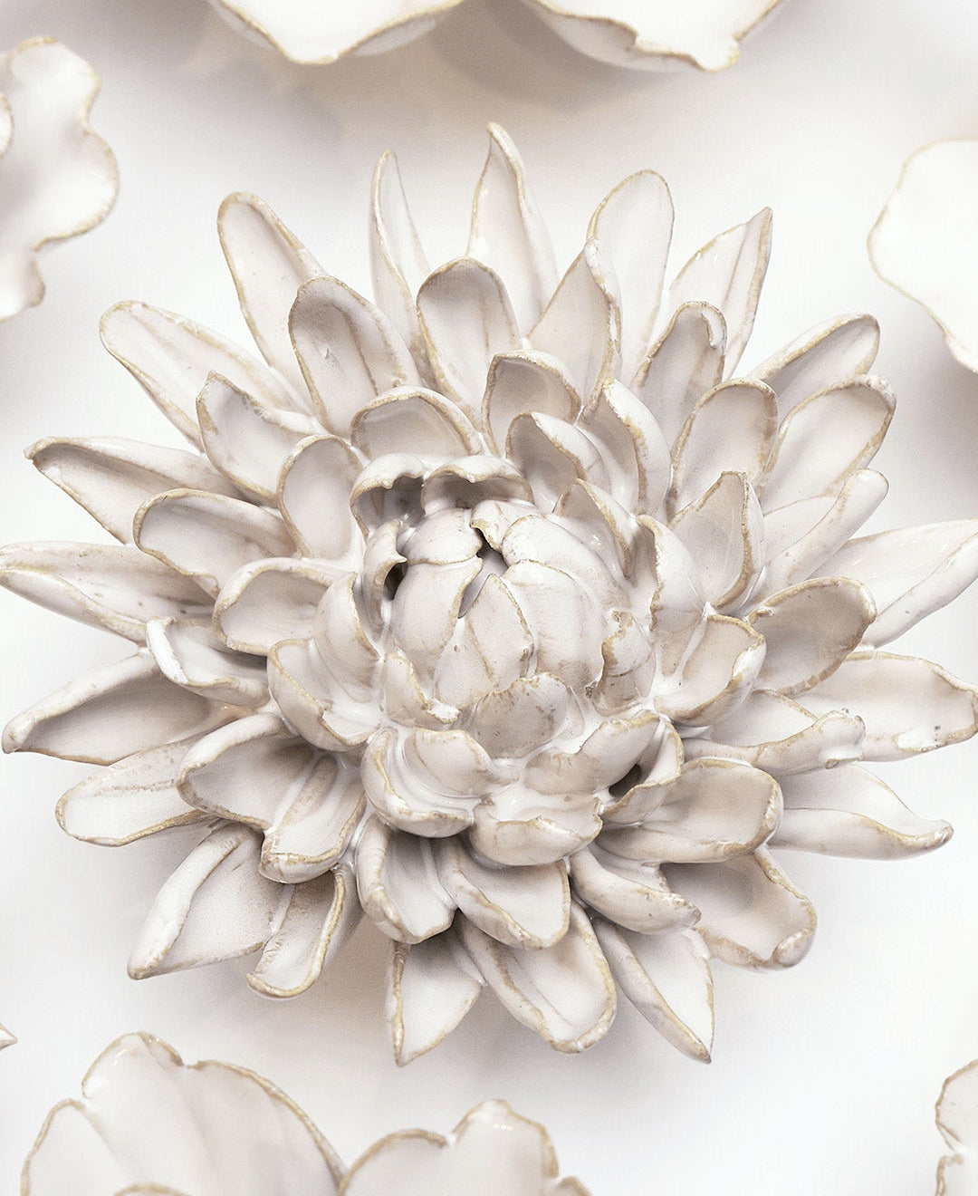 Ivory Chrysanthemum ceramic wall flower styled on wall — Coastal Collection — Chive Studio Toronto