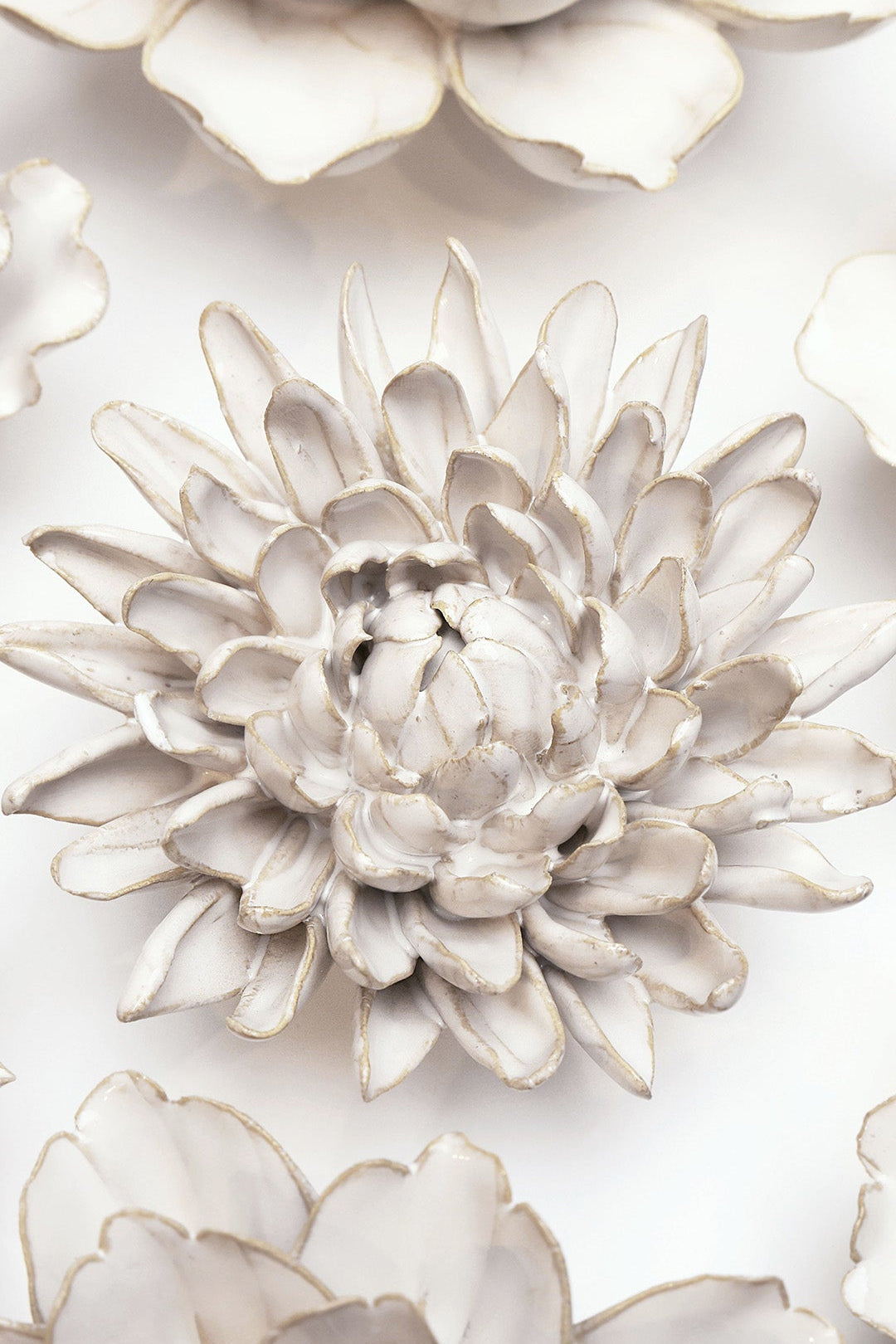 Ivory Chrysanthemum ceramic wall flower styled on wall — Coastal Collection — Chive Studio Toronto