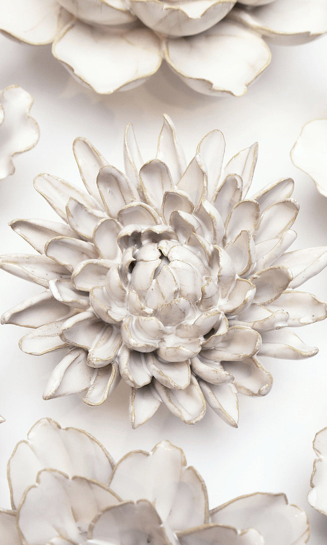 Ivory Chrysanthemum ceramic wall flower styled on wall — Coastal Collection — Chive Studio Toronto