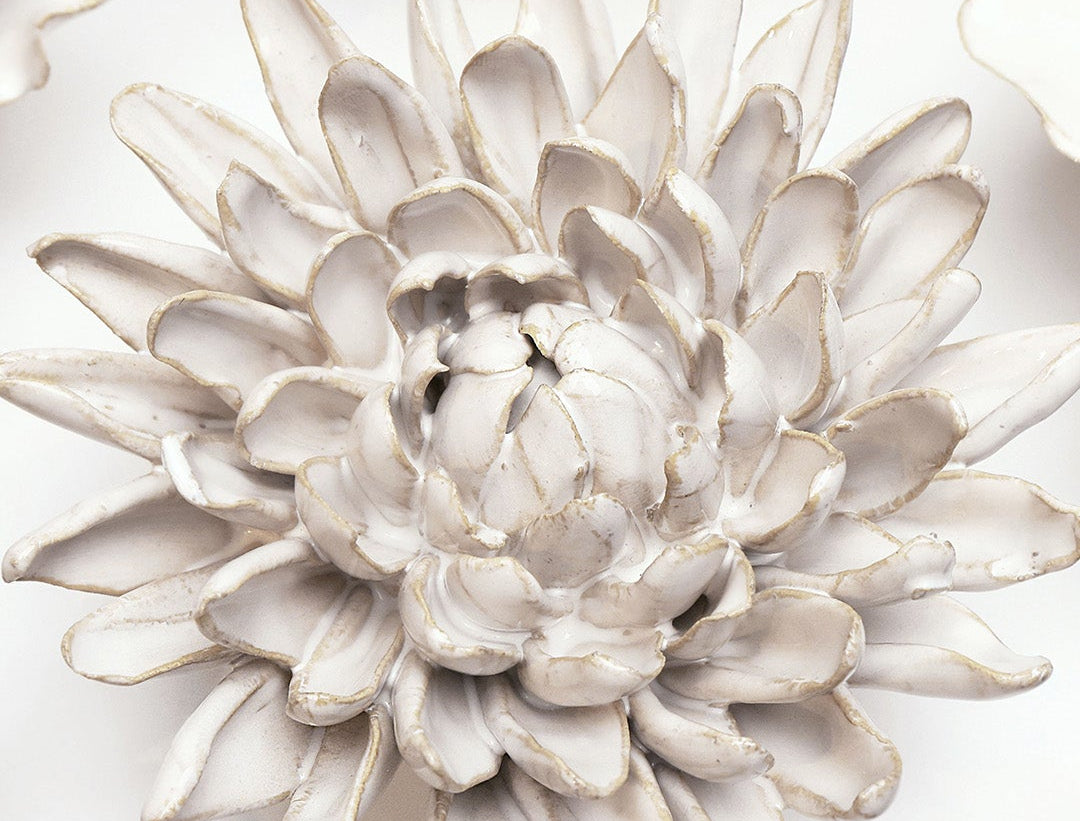 Ivory Chrysanthemum ceramic wall flower styled on wall — Coastal Collection — Chive Studio Toronto