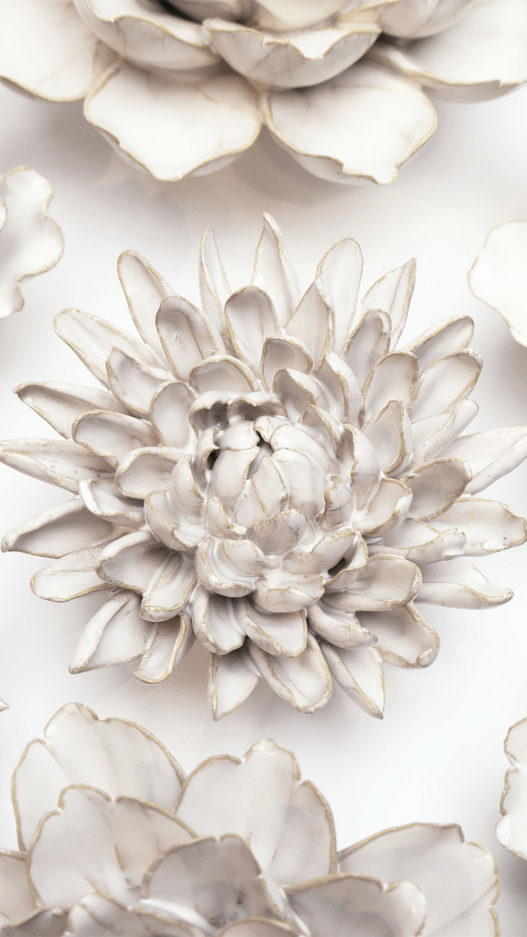 Ivory Chrysanthemum ceramic wall flower styled on wall — Coastal Collection — Chive Studio Toronto