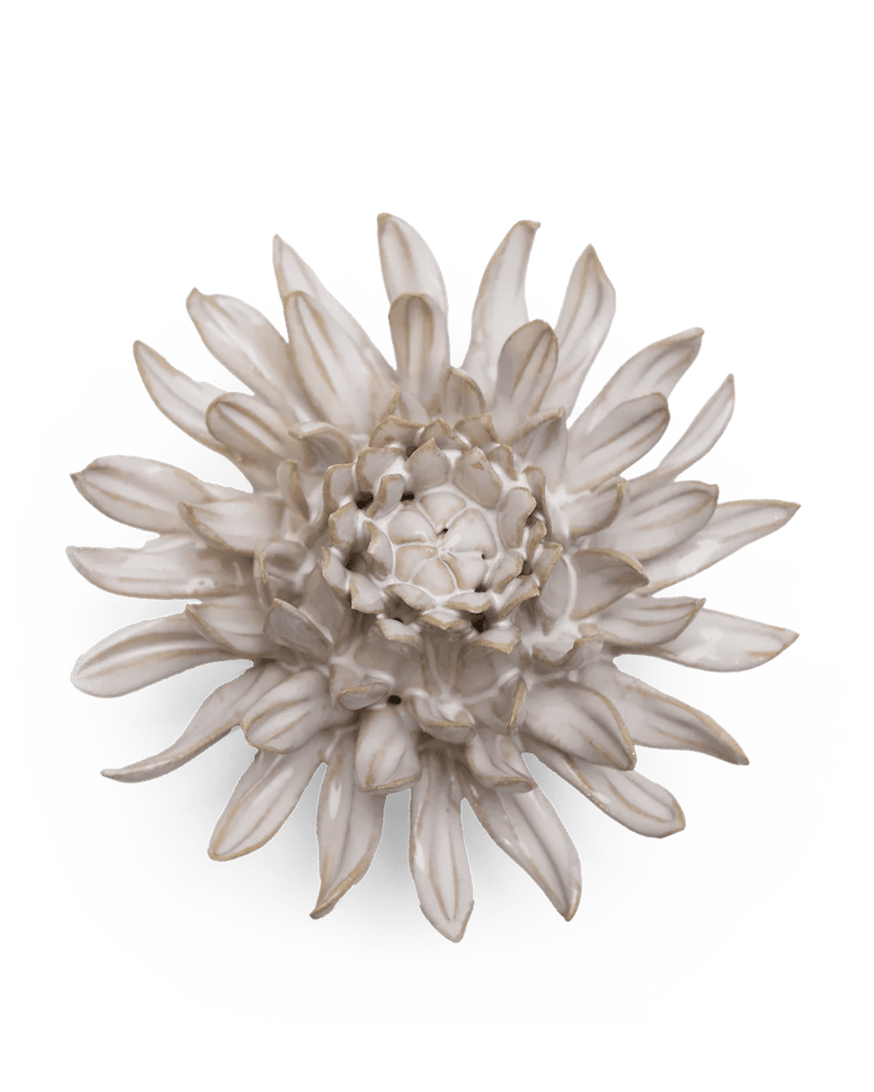 CO04-1.png?crop=center&height=