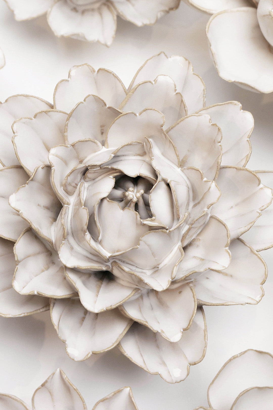 Ivory Comanche Peony ceramic wall flower styled on wall — Coastal Collection — Chive Studio Toronto