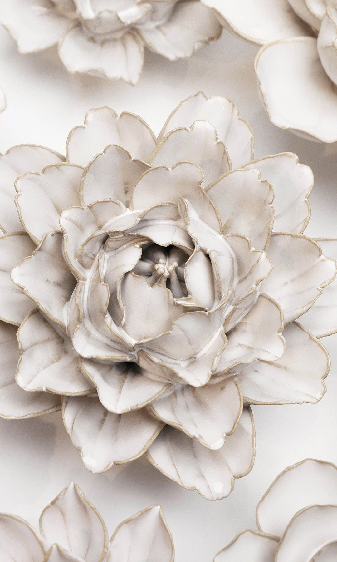 Ivory Comanche Peony ceramic wall flower styled on wall — Coastal Collection — Chive Studio Toronto