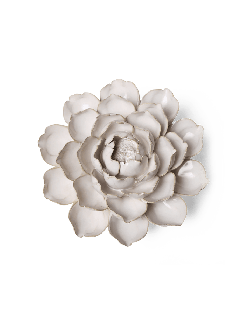 CO07-1_8d1801b3-f33d-4da1-a92f