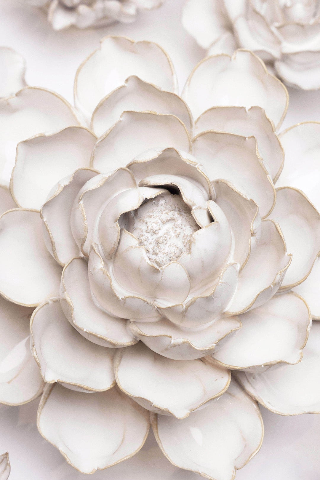 Ivory Empire Cabbage Flower ceramic wall flower styled on wall — Coastal Collection — Chive Studio Toronto