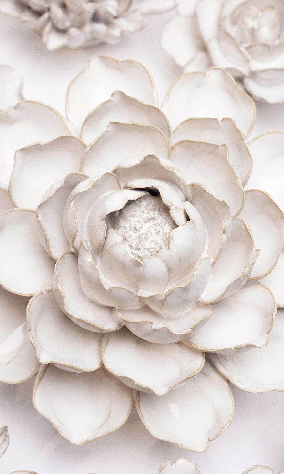 Ivory Empire Cabbage Flower ceramic wall flower styled on wall — Coastal Collection — Chive Studio Toronto