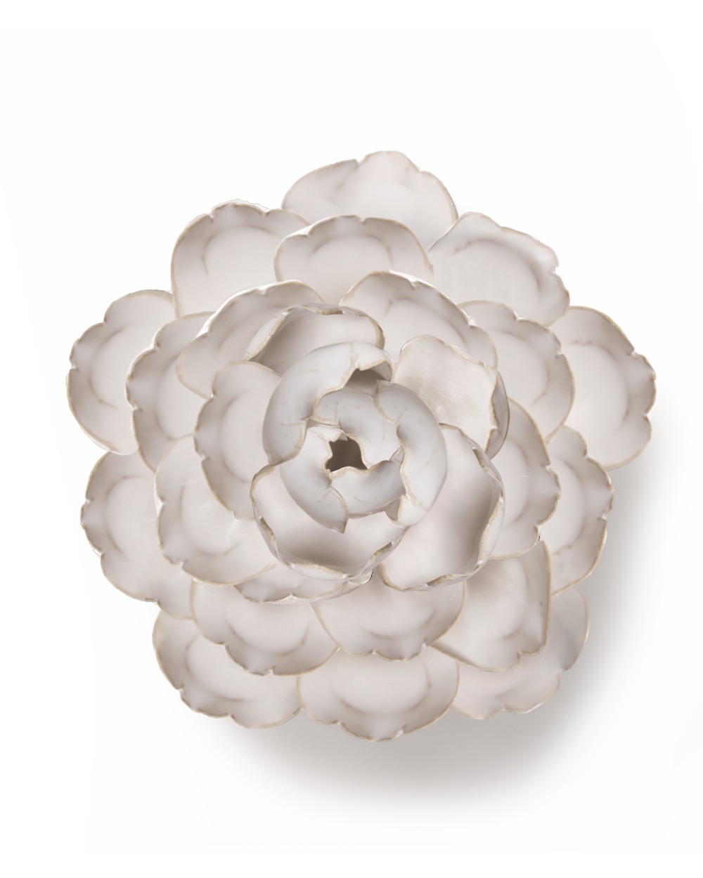 Ivory Keiko Peony ceramic wall flower - Coastal collection - handmade by Chive Studio Toronto
