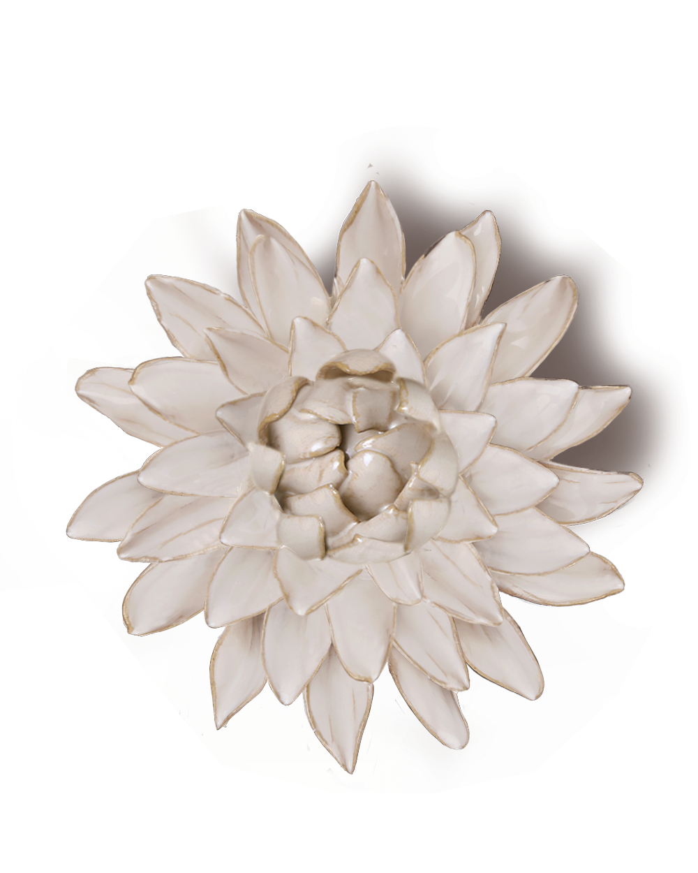 Ivory Strawflower ceramic wall flower - Coastal collection - handmade by Chive Studio Toronto