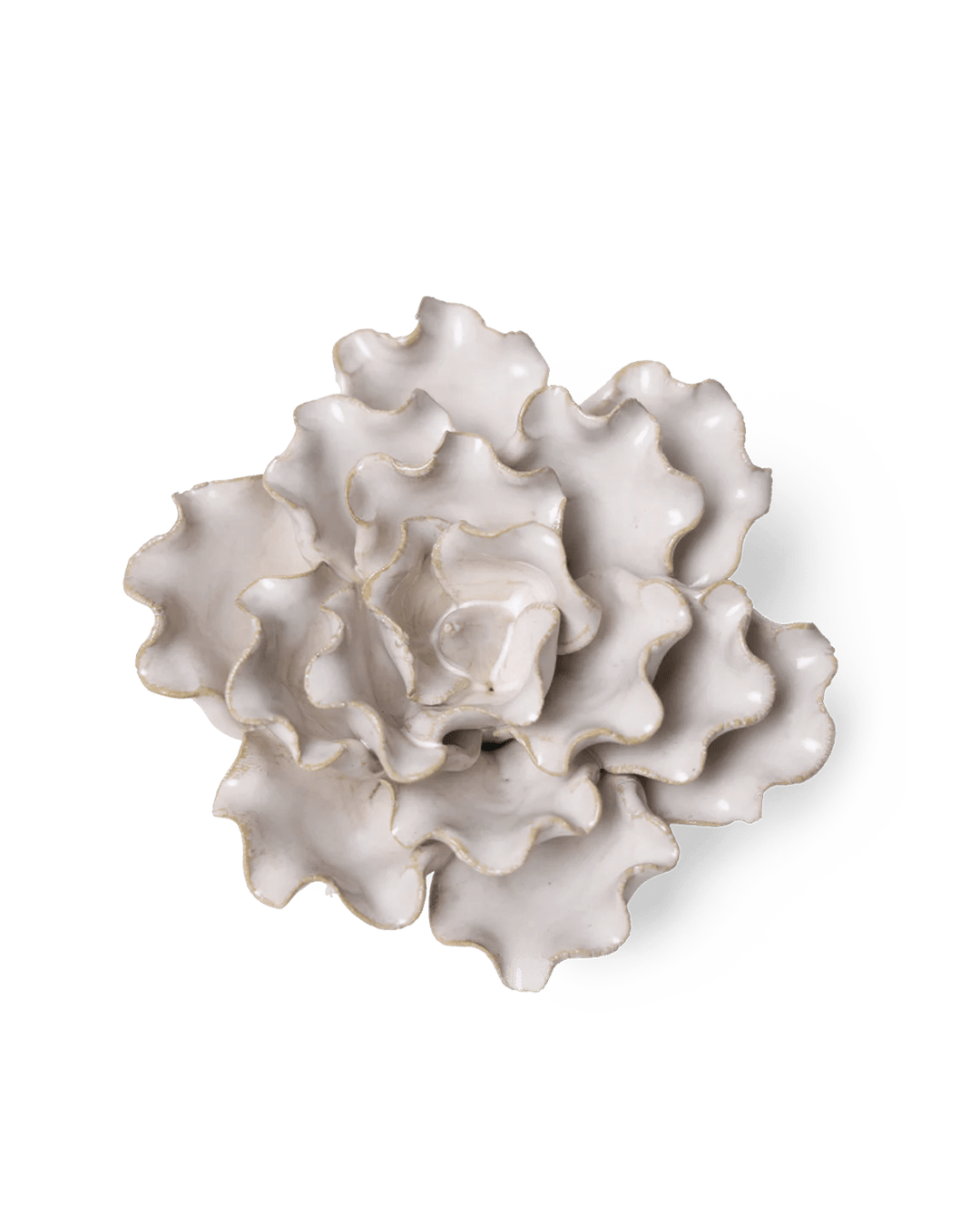 Ivory Sea Lettuce Medium - Chive Ceramics Studio - Ceramic Flowers - Chive Ceramics Studio