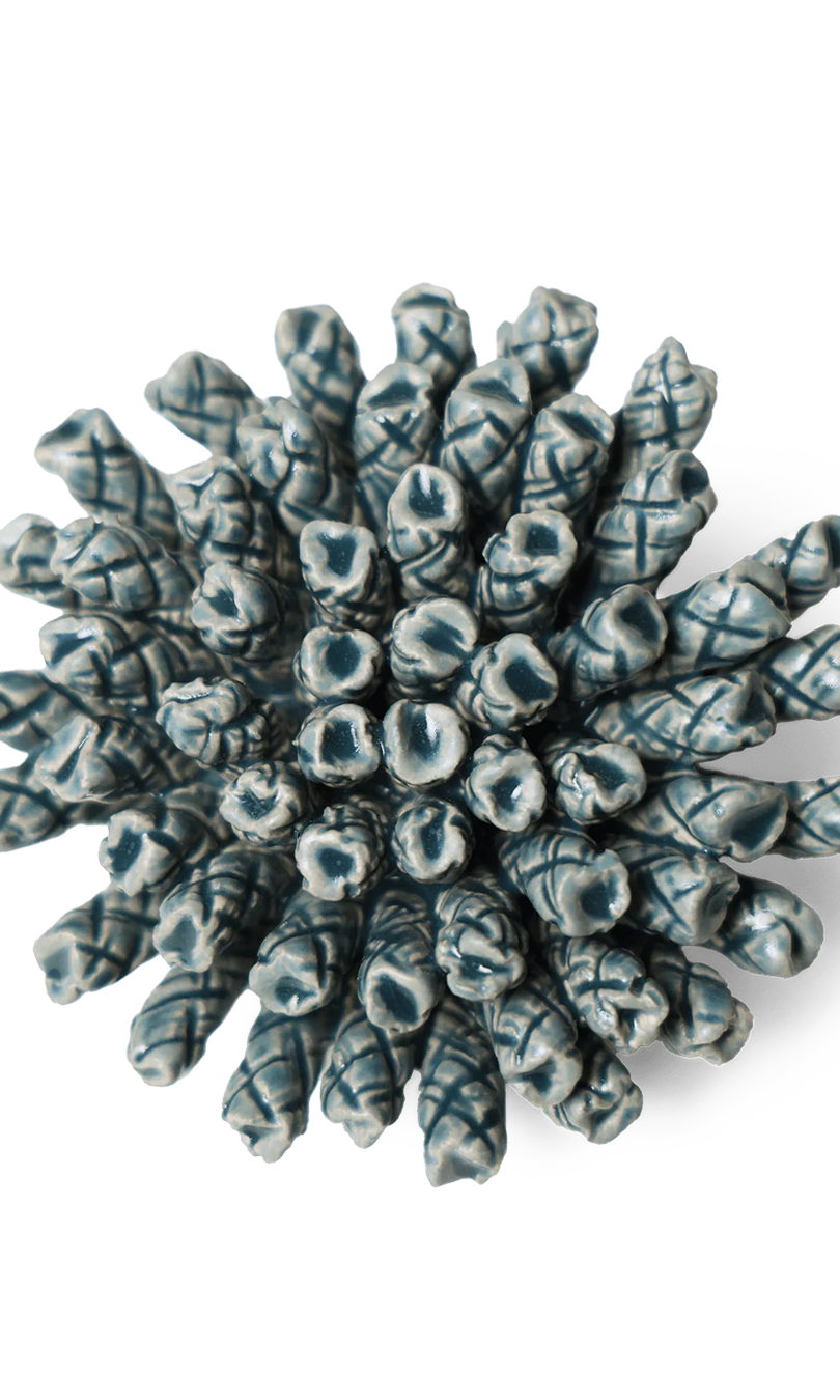 Ceramic Flower Wall Art Medium Teal 1 - Chive Ceramics Studio - Ceramic Flowers - Chive US