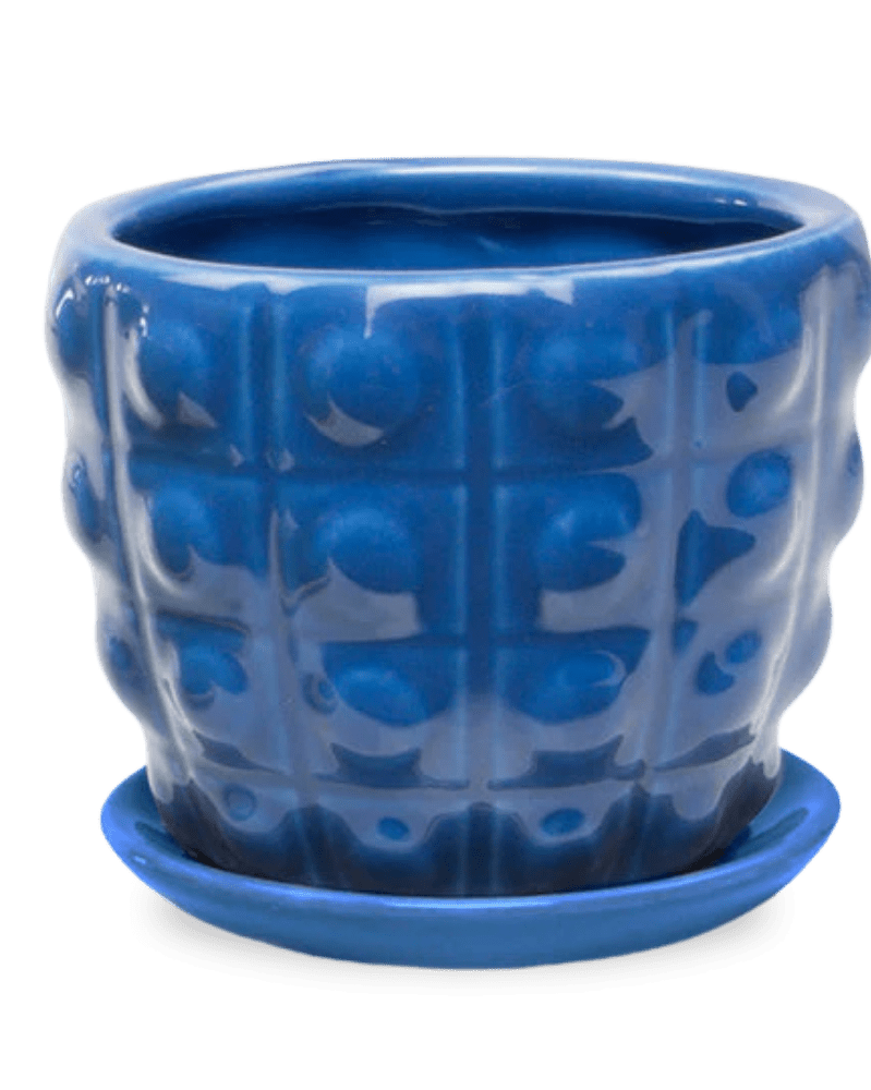 Convex Ceramic Pot With Drainage Hole And Saucer - Chive Ceramics Studio - Pots - Chive US