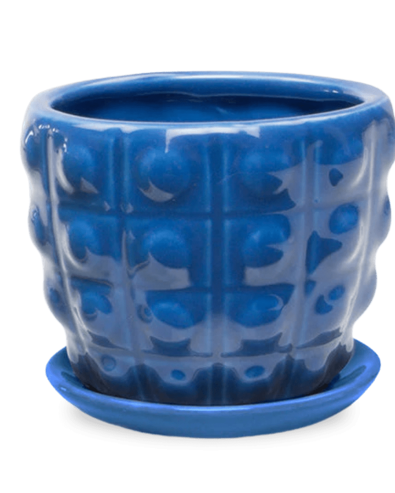 Convex Ceramic Pot With Drainage Hole And Saucer - Chive Ceramics Studio - Pots - Chive US