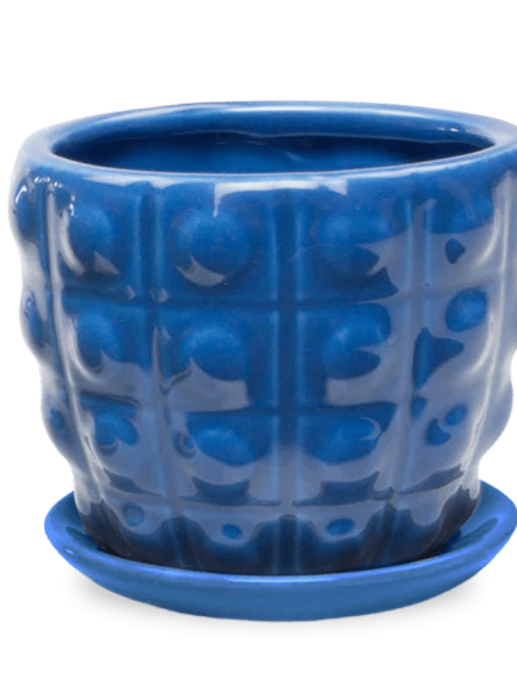 Convex Ceramic Pot With Drainage Hole And Saucer - Chive Ceramics Studio - Pots - Chive US