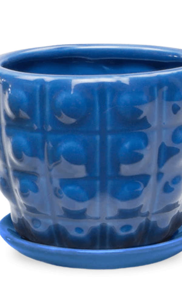 Convex Ceramic Pot With Drainage Hole And Saucer - Chive Ceramics Studio - Pots - Chive US