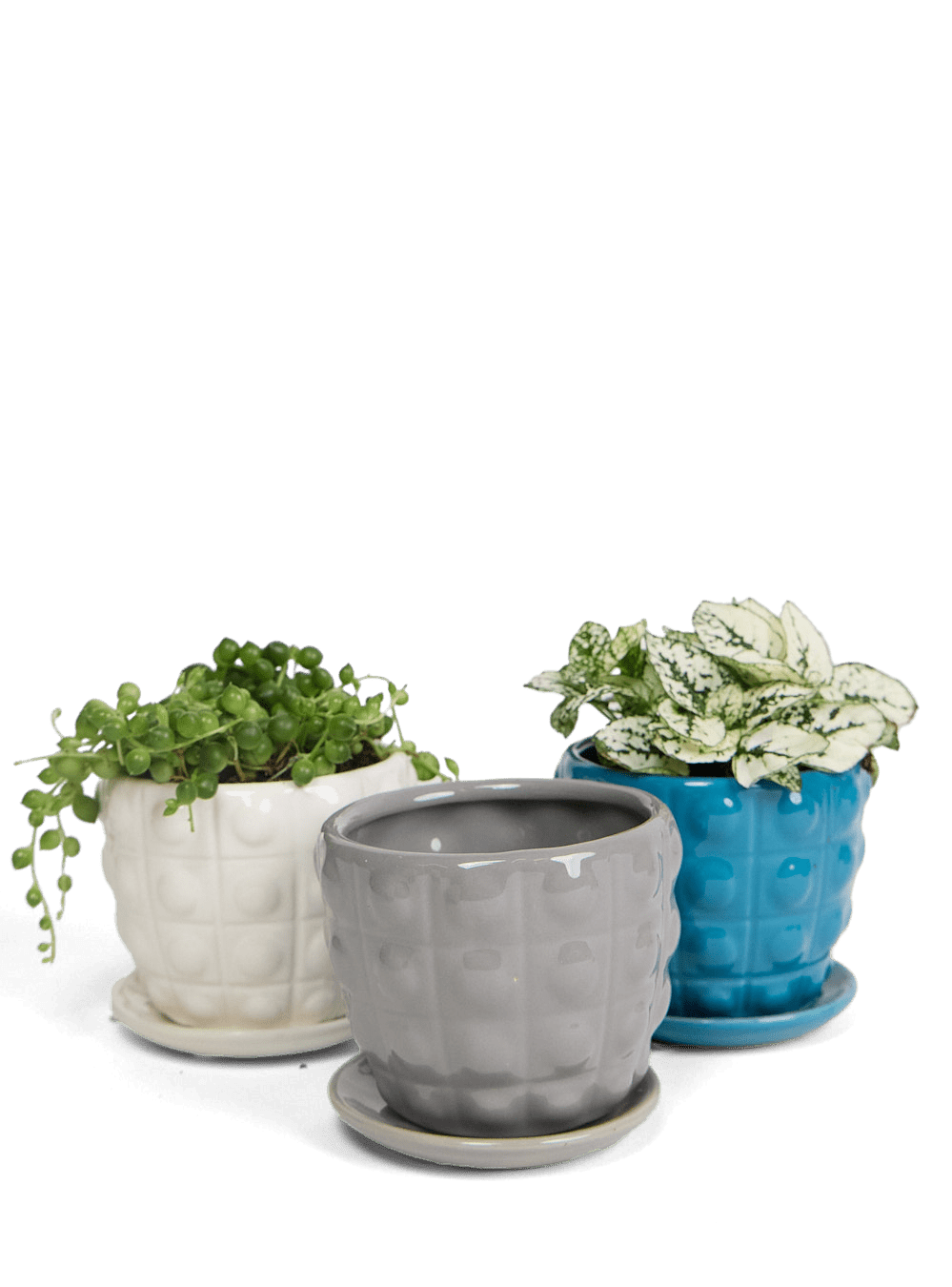 Convex Ceramic Pot With Drainage Hole And Saucer - Chive Ceramics Studio - Pots - Chive US