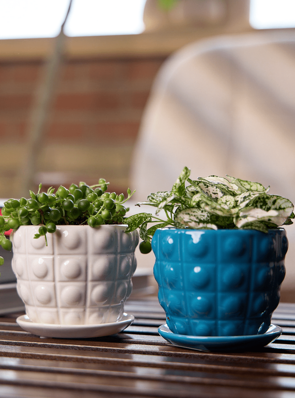 Convex Ceramic Pot With Drainage Hole And Saucer - Chive Ceramics Studio - Pots - Chive US