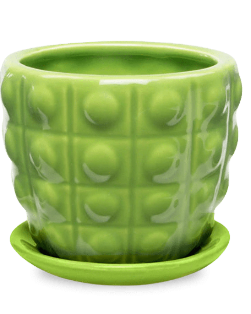 Convex Ceramic Pot With Drainage Hole And Saucer - Chive Ceramics Studio - Pots - Chive US