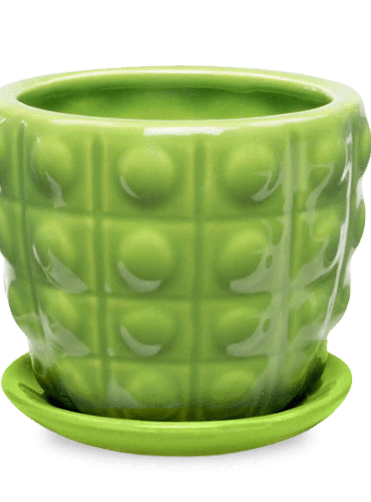 Convex Ceramic Pot With Drainage Hole And Saucer - Chive Ceramics Studio - Pots - Chive US