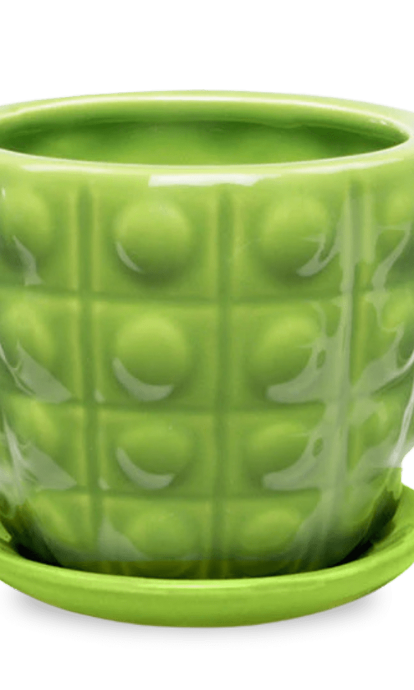 Convex Ceramic Pot With Drainage Hole And Saucer - Chive Ceramics Studio - Pots - Chive US