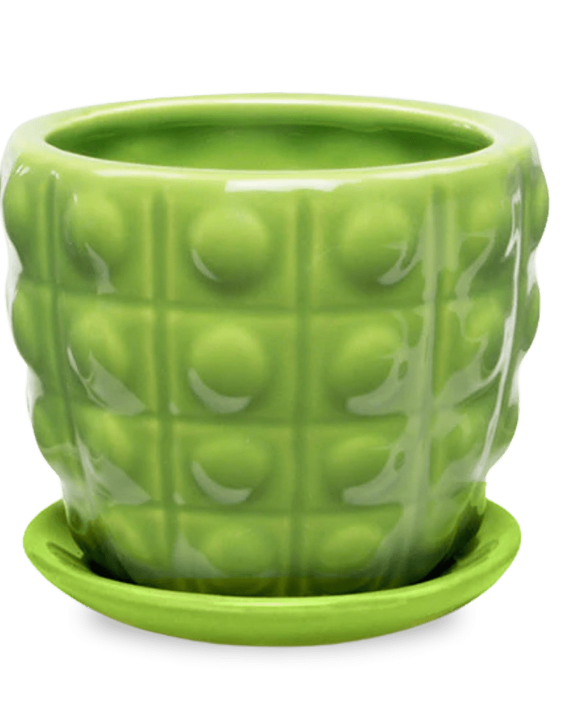 Convex Ceramic Pot With Drainage Hole And Saucer - Chive Ceramics Studio - Pots - Chive US